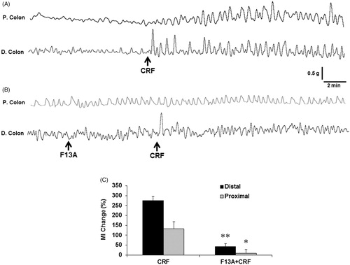 Figure 8. The effect of peripheral CRF administration on in-vivo colonic motility in anesthetized rats. Representative traces showing the response of the proximal and distal colon to CRF (100 μg·kg−1, i.v., n = 5) (A) and the alterations in response to APJ receptor antagonist F13A (300 μg·kg−1, i.v., n = 5) (B). The AUC was calculated as MI within equal pre- and post-injection time periods and expressed as % change (C). The black arrows represent the injections. Data are means ± SE. *p < .05; **p < .01 vs CRF.