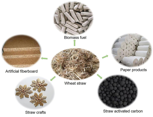 Figure 1. Wheat straw fibers and their applications.