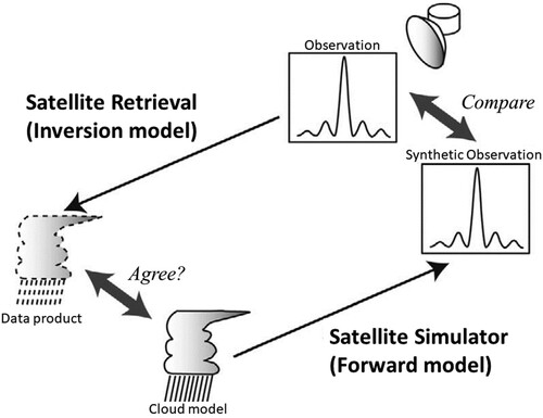 Fig. 4 A schematic image of the comparison between models and satellites using satellite simulators. From Masunaga et al. (Citation2010), © American Meteorological Society. Used with permission.