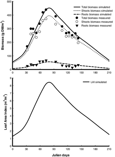 Figure 2. Simulated results (lines) and measured data (symbols; data from Sharma & Sridhar Citation1981) of the biomass and leaf area index (LAI) of Pistia stratiotes populations at 07° 26′ N, 03° 53′ E. Total biomass = shoots biomass + roots biomass.