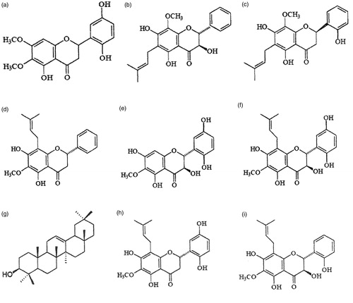 Figure 2.  Dioclea grandiflora major constituents. (a) dioclein, (b) dioclenol, (c) dioflorin, (d) agrandol, (e) diosalol, (f) paraibanol, (g) β-amyrin, (h) 5,7,2′,5′-tetrahydroxy-6-methoxy-8-prenylflavanone, and (i) floranol.