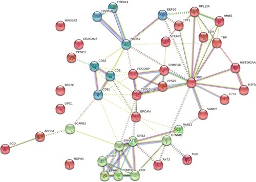 Figure 4 Network and enrichment analysis visualization. Combined screenshots from the STRING website, showing results obtained upon entering a set of 45 proteins suspected to be involved in Exosome markers. According on kmeans clustering has been selected, the corresponding protein nodes in three categories automatically highlighted in colors.