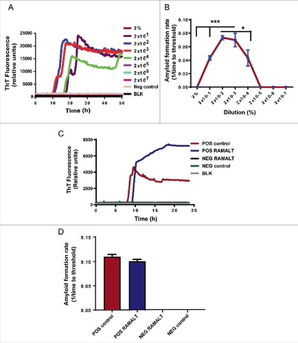 FIGURE 2. Choosing optimal working dilution and testing RAMALT samples in the RT-QuIC assay. (A) Different dilutions of a positive control on the RT-QuIC assay. Each dilution ran in triplicate. The 2 × 10−2 dilution was used for all tested samples. (B) AFR for different dilutions of a positive control. The 2 × 10−2 dilution has more AFR and is significantly different. Asterisks *p ≤ 0.05 and ***p < 0.001 added to show the sample concentrations that were significantly different. (C) Amplification kinetics of positive and negative elk RAMALT samples along with controls. Blue trace represents the RAMALT sample that tested positive in the RT-QuIC assay. (D) AFR of RAMALT sample along with a positive control. The blue bar indicates a representative trace of one RAMALT sample.