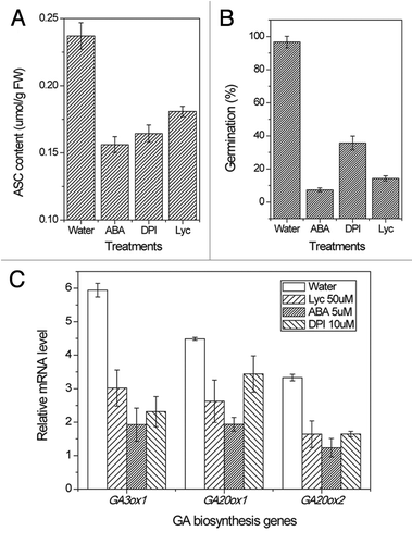 Figure 1. Inhibition of ASC production (A) and the consequent effect on seed germination (B) and GA accumulation (C). Rice seeds were imbibed at 28 °C in the presence of water, ABA, diniconazole, Tiron, DPI and lycorine solutions for 36h. Seed samples were collected and stored at –80 °C for ASC determination and QRT-PCR. Values are means ± SD (n = 5).