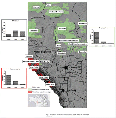 FIGURE 1. Geographic distribution and Prnp allele frequencies at codon 138 of woodland caribou populations. The map indicates the distribution of all woodland caribou populations in Alberta, those classified as boreal ecotype are depicted in green, the populations of the mountain ecotype in red. Populations included in our study are underlined. Bar graphs indicate the frequency of 138SS, 138SN and 138NN genotypes of all analyzed population of the mountain and boreal ecotype excluding Chinchaga, which is shown in a separate bar graph.