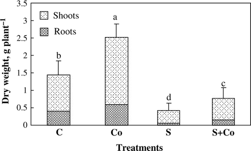 Figure 2.  Shoot and root dry matter production of Hordeum maritimum plant subjected to the interactive effect of MSW compost and salt. C: control treatment without salt or compost. S: control irrigated with tap water added with 4 gl_1 NaCl. Co: soil amended with 40 t ha_1 of compost and irrigated with tap water. S + Co: soil amended with 40 t ha_1 of compost and irrigated with tap water at 4 g l_1 NaCl. Values are the means of 7 replicates. Means followed by the same letters are not significantly different according to the Duncan's Multiple Range Test at p >0.05.