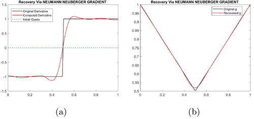 Figure 3. Recoveries using out method: (a) numerical derivative φ~ and (b) smooth approximation Tφ~.
