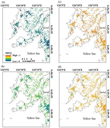 Figure 4. Time series maps (a–d) of the normalized difference vegetation index (NDVI) of classified paddy rice fields at TaeAn, South Chungcheong Province, Korea, in 2010. The NDVI maps were generated for several days of the year (DOY): (a) DOY 152, (b) DOY 174, (c) DOY 220, and (d) DOY 250.
