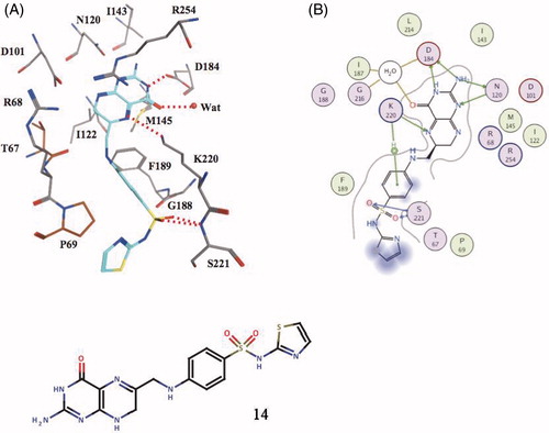 Figure 4. Covalent adduct of DHPP with the sulfa drug sulfathiazole, of type 14, as determined by X-ray crystallography (A) and the detailed interactions in which 14 participates when bound to the enzyme (B)Citation58.