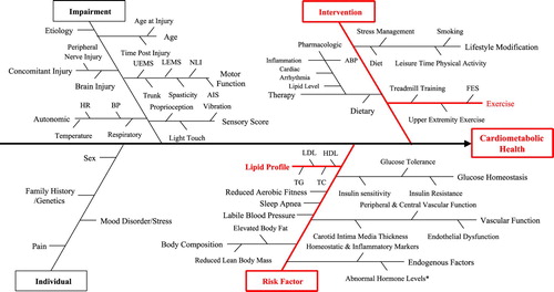 Figure 1 Cardiometabolic Health Driver diagram. UEMS: upper-extremity motor score; LEMS: lower-extremity motor score; NLI: neurological level of injury; AIS: ASIA Impairment Scale; HR: heart rate; BP: blood pressure; ABP: arterial blood pressure; FES: functional electrical stimulation; LDL: low-density lipoprotein; HDL: highdensity lipoprotein; TG: triglycerides; TC: total cholesterol. *Serum testosterone, growth hormone & renin-angiotensin-aldosterone system.