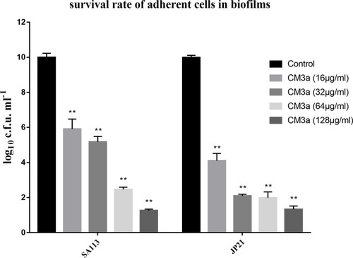 Figure 5 The survival rate of adherent cells in biofilms after treatment with CM3a (16–128 μg/mL). Each experiment was repeated 3 times, and data represent mean±standard deviation. **P<0.01.