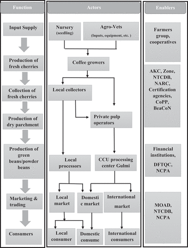 Figure 6. Value chain map of arabica coffee in Arghakhanchi district of Nepal