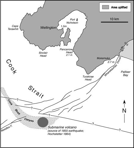 Figure 16  Map showing location of the Cook Strait ‘volcanic source’ of the 1855 earthquake inferred by Haast (Citation1862) and Hochstetter (1864).