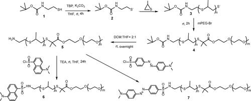 Figure 1 Synthesis scheme of DAN/DAB-PPS-mPEG block copolymers.