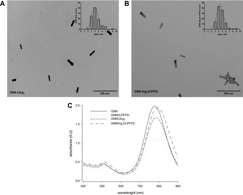 Figure 1 Characterization of the GNR-peptide. Representative TEM images and insert (histogram of aspect ratio length/width of 100 nanoparticles) of (A) GNR-CArg7 and (B) GNR-Arg7CLPFFD; (C) Absorption spectrum of GNR and GNR-peptide.