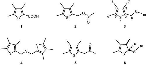 Figure 1. The chemical structures of thiophene derivatives from F. foetida.