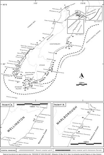 Figure 1. The New Zealand distribution of D. willana and places mentioned in text. Sites where D. willana has been recorded are numbered (and arrowed) 1–77. For detail, see Appendix. Areas of recent coastal uplift (Wellington’s south coast, and Kaikōura) are cross-hatched. Other areas presumed to have been uplifted (Wairarapa coast, South Westland and Akatore) are depicted with solid, oval symbols.