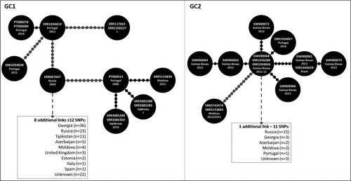 Figure 1. Genomic Clusters (GC) 1 and 2 comprising isolates characterized in the present study and herein defined as strains/nodes within 12 SNPs of distance between each other. Each GC is here partially represented as a Minimum Spanning Tree (MST) as to highlight nodes/strains closer to the analysed Beijing clinical isolates from Portugal and Guinea-Bissau (see Supplementary Figure S2 for full MSTs). Lines connecting each node represent a link of ≤12 SNPs where each dot represents the genetic distance corresponding to one SNP; lines depicted in black and grey represent distances ranging between 1–5 and 7–12 SNPs, respectively. GC1 comprises 121 isolates (displayed in a truncated form that highlights the positioning of Beijing strains isolated in Portugal) and includes isolates PT000078, PT000080 (both representing a known transmission case among the same household and involving two siblings, MtbC15-9 type 4737-32) and PT000013. PT000078 and PT000080 whose patients had no history of travel and of known TB contacts, were found to be in proximity with an imprisoned immigrant from Eastern Europe (ERR1034819), which is eight SNPs apart from another undetected immigrant from Eastern Europe in Portugal (ERR1034838). PT000013 pertains to a Moldovan immigrant in Portugal and is herein linked to an isolate originating from Moldova, seven years after this case has been detected in Portugal and is 3–4 SNPs apart of cases detected in Tajikistan. GC1 thus highlight the epidemiological impact and emergence of MDR-TB strains belonging to this GC that appear to originate from a complex transmission network that mainly spans across former Soviet states as well as its successful spread outside its endemic settings. GC2 depicts a cross-border cluster of previously unlinked cases between Portugal, Guinea-Bissau and Brazil that are also linked (≤12 SNPs) with isolates from former Soviet states. Overall, the high resolution offered by whole genome sequencing enabled the identification of previously epidemiologically unlinked cases and the identification of new routes for the spread of MDR-TB Beijing strains.