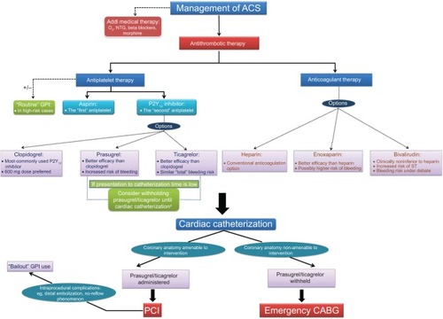 Figure 3 A decision tree depicting the various therapeutic options available for the management of ACS, and highlighting their unique characteristics based on the current evidence.