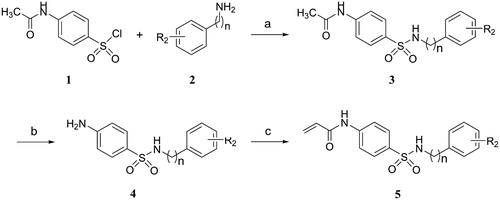 Scheme 1. Reagents and conditions: (a) TEA, DCM, 0 °C, rt; (b) HCl, ethanol, 70 °C; (c) Acryloyl chloride, TEA, DCM, 0 °C, rt.