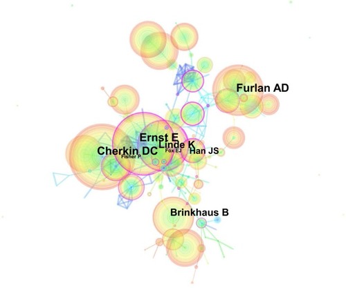 Figure 6 Author cocitation map related to acupuncture for LBP research from 1997 to 2016.