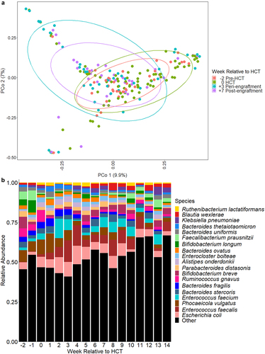 Figure 1. Microbiome composition over time relative to HCT. a. Principle coordinate analysis of Bray-Curtis distances for microbiome composition at weeks − 2, 0, +3, and + 7. These timepoints correlate to clinically-relevant periods relative to HCT, specifically pre-transplant, time of HCT, peri-engraftment, and post-engraftment. Each dot represents a single sample; the circles represent clustering of samples by timepoint. b. Relative abundances of highly abundant bacterial species in fecal samples of children by week relative to hematopoietic cell transplantation (HCT). Escherichia coli, Enterococcus faecalis, and phocaeicola vulgatus (formerly bacteroides vulgatus) were the most abundant bacterial species. The relative abundances of several anaerobic species (e.g., Bifidobacterium longum, faecalibacterium prausnitzii, parabacteroides distasonis) declined over time, whereas the relative abundances of potential pathogens (e.g., E. faecalis, Klebsiella pneumoniae) increased after HCT.