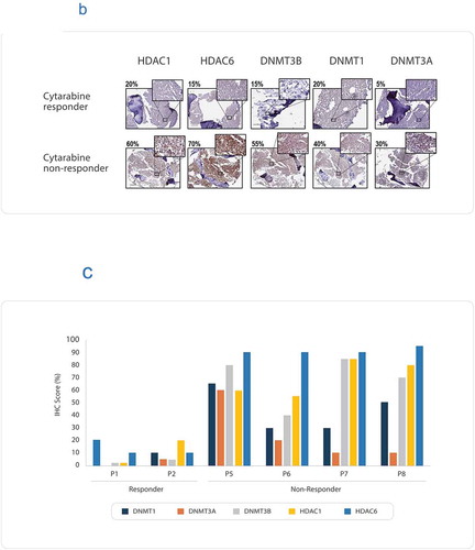 Figure 1. (Continued)