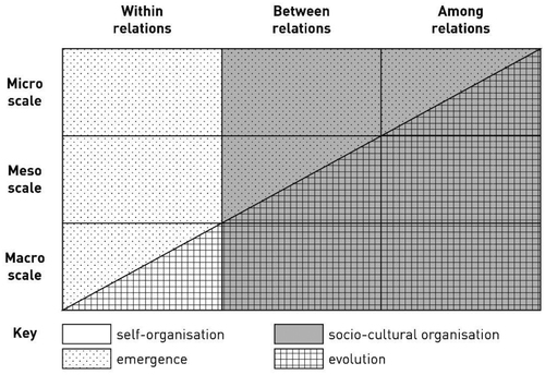 Figure 2. Organization, Emergence, and Evolution