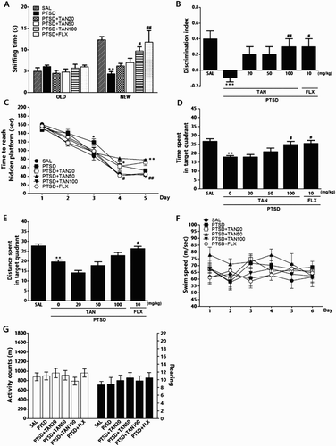 Figure 2. Effect of TAN on recognition memory was assessed using a novel ORT in which we measured the times taken to sniff familiar and novel objects during a 3-min choice trial (A) and the ability to discriminate between familiar and novel objects (B). The MWM test was used to assess the effect of TAN on spatial learning and memory; we measured the time taken to escape from water (latency) during acquisition trials using a submerged platform (C), the percentages of time spent in the target quadrant (D), the proportion of the total distance traversed in the target quadrant (E), and swimming speed (F). The OFT was used to assess the effect of TAN on locomotor activity (counts) and total number of rearings (G). *p < 0.05, **p < 0.01, ***p < 0.001 vs. the SAL group, #p < 0.05, ##p < 0.05 vs. the PTSD group.
