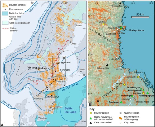 Figure 1. (A). Fennoscandian Ice Sheet, with selected Weichselian ice margin positions, interpreted distribution of cold-based ice during deglaciation, Baltic Ice Lake (Stroeven et al. Citation2016), boulder spreads (SGU data), fracture caves in disintegrated roches moutonnées (Sjöberg Citation1994). YD = Younger Dryas limit. (B). Map with locations and study areas, separated by feature type; boulder spread distribution. Some additional fracture caves reported by Sjöberg (Citation1994) also indicated. DTM after Aster GTOPO30. Figure © Svensk Kärnbränslehantering AB.