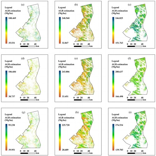 Figure 5. Predicted Forest AGB distribution maps for V10, V11 and V12 variable combinations. Broadleaved forest is shown in panels (a), (d), (f). Mixed species forest shown in panels (b), (e), (h). The coniferous forest shown in (c), (f), (i).