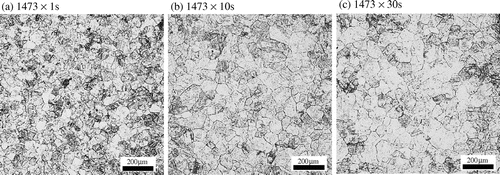 Figure 6. Microstructure of steel B (a–c) OM, (d) SEM.