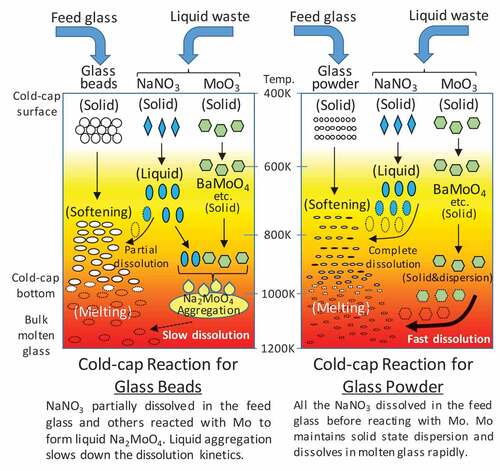 Figure 7. Cold-cap reaction model regarding ternary glass-NaNO3-MoO3 derived from experimental and thermodynamic calculation results. The left is the model for the bead feed and the right is for the powder feed.