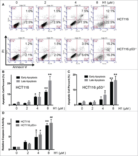 Figure 2. Effect of H1-induced apoptosis in wild-type and p53-null HCT116 cells. HCT116 and HCT116 p53−/− cells were treated by various concentrations of H1 for 24 h, cells were processed, stained, and the number of early apoptotic and late apoptotic cells was analyzed by FCM as descripted in the Methods. A representative of 3 experiments is shown (A, B and C). *P < 0.05, **P < 0.01; ##P < 0.01 vs. each control group. After treated with H1 for 24 h, cells were lysed. Protein concentration was determined by Bradford assay. According to instruction, caspase-3 activity was determined using Caspase-3 Assay Kit (D). Data from 4 independent experiments were used. *P < 0.05; **P < 0.01; #P < 0.05; ##P < 0.01 vs. each control group.