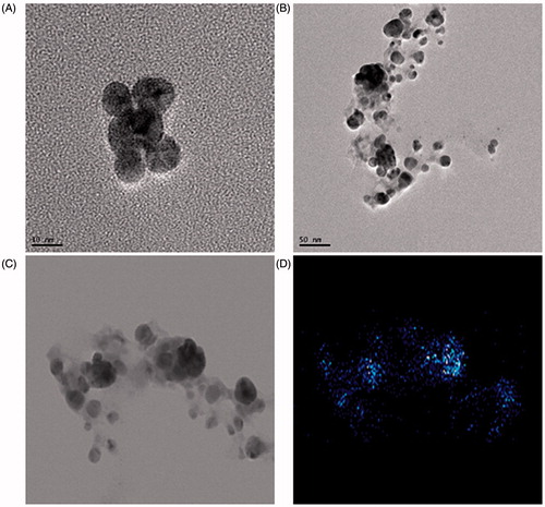 Figure 2. TEM image of spherical shaped silver nanoparticles at 10 nm (A) and 20 nm (B). Elemental mapping results indicate distribution of silver elements, TEM micrograph of silver nanoparticles solution (C), and silver nanoparticles (D).