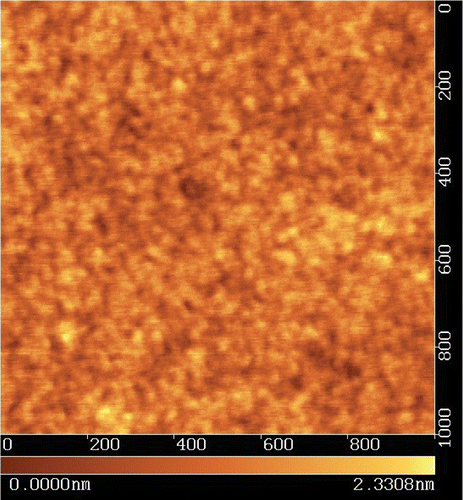 Figure 5 AFM picture of the azo‐dye layer (SD‐1) on the glass substrate.