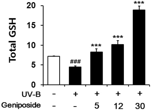 Figure 5. Enhancing effects of geniposide on total glutathione (GSH) levels in cellular lysates of human dermal fibroblasts under the irradiation with UV-B radiation. Fibroblasts were subjected to the varying concentrations (0, 5, 12 or 30 μM) of geniposide for 30 min before the irradiation. Total GSH content, expressed as μg/mg protein, was determined with enzymatic recycling assay using GR. ###p < 0.001 versus the non-irradiated control. ***p < 0.001 versus the non-treated control (UV-B irradiation alone).