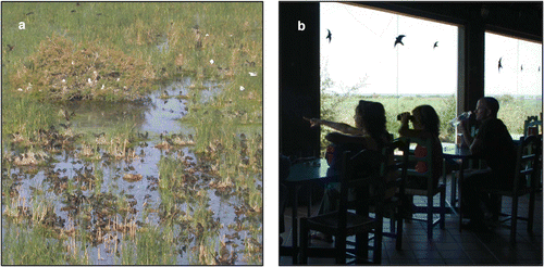 Figure 2 (a) View of the breeding colony in the Lucio de la FAO from the Visitor Centre; (b) José Antonio Valverde Visitor Centre.