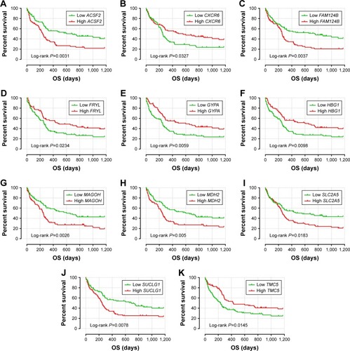 Figure 2 The prognostic value of the 11 genes for AML patients in the GSE12417 HG-U133A cohort.