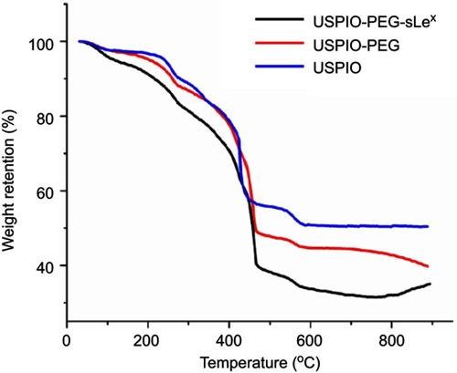 Figure 4 Thermogravimetric analysis (TGA) of ultrasmall superparamagnetic iron oxide (USPIO), USPIO–polyethylene glycol (PEG), and USPIO-PEG–Sialyl Lewis X (sLex).