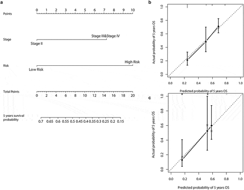 Figure 4. Methylation signature nomogram to predict the risk of survival in patients with MIBC. (a) Nomogram of methylation signature predict the 5-years Survival probability of MIBC. (b) Calibration curve for the OS nomogram model in training dataset. (c) Calibration curve for the OS nomogram model in validation dataset