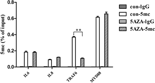 Figure 4. The effects of 5-Aza-CdR on the 5mC levels of the MyD88, TRAF6, IL-6 and IL-8 gene promoters in hDPCs. Dynamic methylation levels of the MyD88, TRAF6, IL-6 and IL-8 gene promoters were evaluated with MeDIP-PCR in the 5-Aza-CdR and control groups after 6 h of LPS stimulation. The results are presented as the mean ± SD of three independent experiments; *P < 0.05; **P < 0.01.
