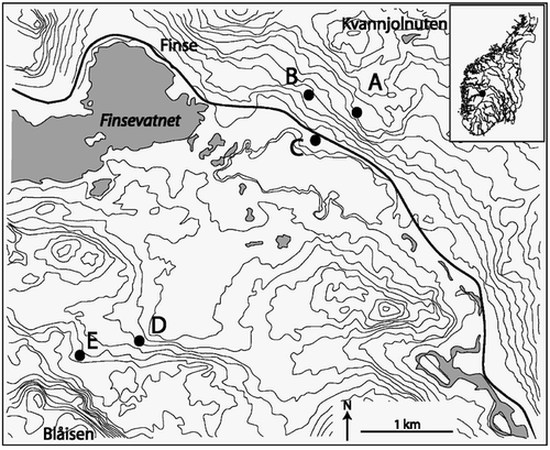 FIGURE 1. Map showing the location of the five studied plant communities (A–E) within the Finse valley. “Blåisen” indicated the situation of the Blåisen glacier outlet. Solid thick line is the Bergen-Oslo railroad. Contour interval is 20 m. Scale is indicated in the lower right corner. Small map indicate location of Finse in Norway