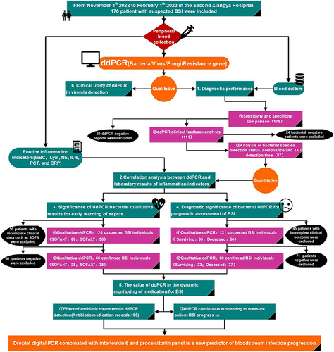 Figure 1 Flowchart of enrollment. The experimental design of this study and the inclusion and exclusion categories of patients are introduced in detail.