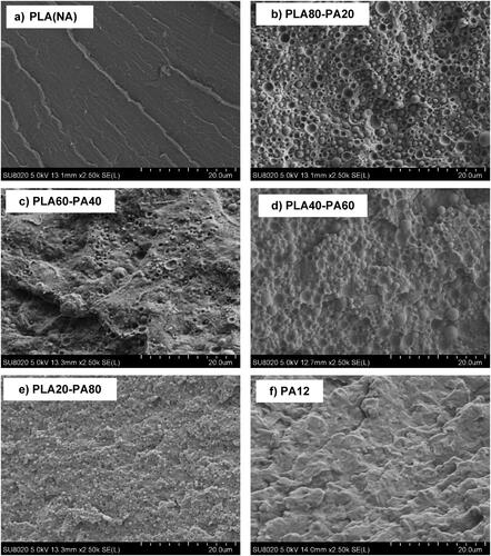 Figure 5. (a–f) SEM micrographs of cryofractured surfaces of PLA(NA), PA12, and PLA(NA)/PA samples.