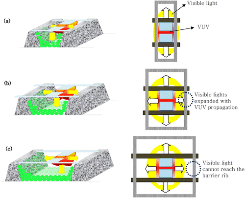 Figure 11. The schematic drawing which shows the propagation of the ultraviolet and visible lights in a cell of plasma display. (a) d=270 μm; (b) d=540 μm; (c) d=810 μm.