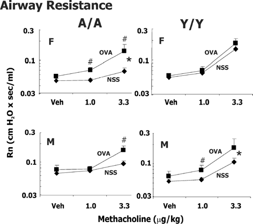 FIG. 1 Methacholine-induced changes in airway resistance (Rn) in male (M) and female (F) guinea pigs sensitized with 0.5 mg/kg OVA IP and challenged intratracheally with either saline (NSS) or 400 μ g/kg OVA. Responsiveness to vehicle (Veh; PBS/heparin) and two successive doses of IV methacholine was determined 24 hr after challenge. Details of treatment groups are shown in Table 1. Values represent the geometric mean ± SE. * p < 0.05, significant overall OVA effect with repeated measures ANOVA. #p < 0.05, the change in resistance to either 1 or 3.3 μ g/kg methacholine compared to its respective control in animals challenged with OVA is greater than animals challenged with NSS.