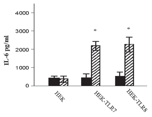 Figure 6 HRV6 ssRNA induced IL-6 secretion. HEK293 cells transfected with TLR7, TLR8 were either stimulated with HRV6 ssRNA (25 µg/ml) for 1 hour (stripped bar charts) or treated with 50 nM NH4Cl and then stimulated with HRV6 ssRNA (black bar charts). The supernatants were harvested and assayed for cytokine secretion using the Cytometric Bead Array (CBA) system (Becton Dickinson). Fluorescence was detected using a FACSCalibur (BectonDickinson). The data presented is the mean of three independent experiments. Asterisks denote statistical significance (p < 0.001).