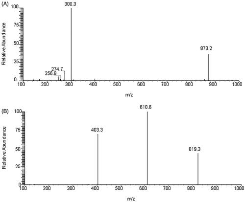 Figure 2. Full scan product ion spectra of thonningianin A (A) and IS (B).