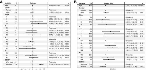 Figure 3 Correlation of CSMD1 mutation and TBM and survival outcome. (A) TMB was related to CSMD1 mutation according to general linear analysis. (B) CSMD1 mutation was associated with survival outcome through multivariate Cox regression analysis.